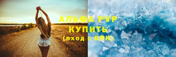 прущие грибы Бугульма