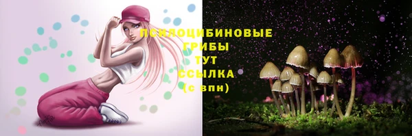 гидра Бородино