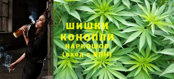 гидра Бородино