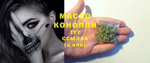 гидра Бородино