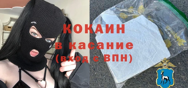 гидра Бородино