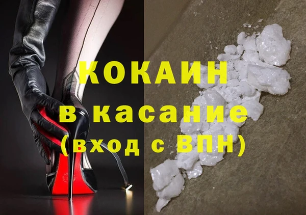 гидра Бородино