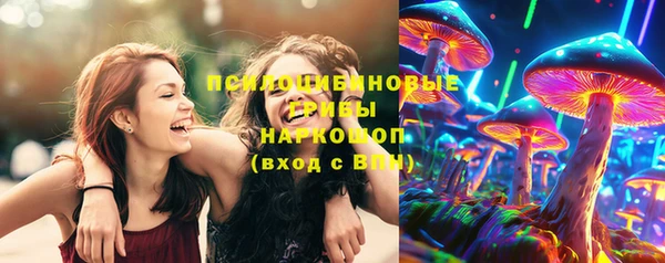 прущие грибы Бугульма